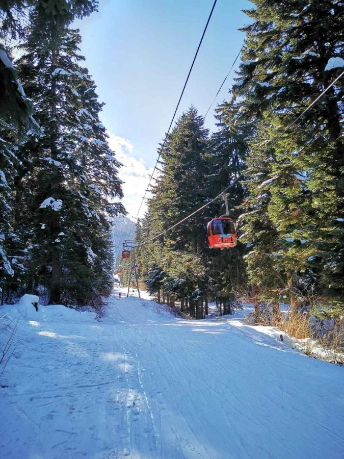 Mountain Paradise In Aparthotel Borovets Gardens Экстерьер фото
